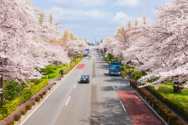 国立市を熟知するペーパードライバー講習